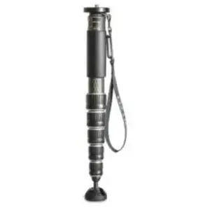 Gitzo GM4562 Série 4 Carbone pas cher