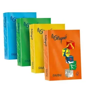 FAVINI HOME-OFFICE BASIC Le Cirque - Vert prairie - A4 (210 x 297 mm) ...Vendu pargalaxus