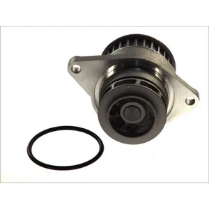 MAGNETI MARELLI Pompe à eau pour VOLKSWAGEN: Lupo, Polo, Golf, Bora & AUDI: A2 & SEAT: Leon, Toledo (Ref: 352316171189)