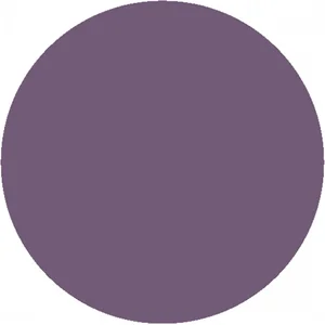 Incarose Piu Volume Rouge à Lèvres Matte 06 Extreme Purple 4ml pas cher