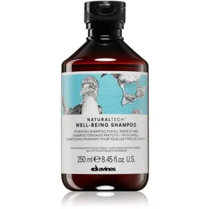 Davines Shampooing Hydratant Well-being 250ml pas cher