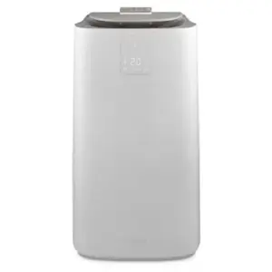 Climatiseur DELONGHI PAC AP120Vendu parkrefel-be