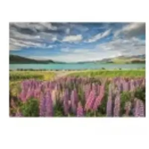 Clementoni Lupin Au Lac Tekapo 31731 pas cher