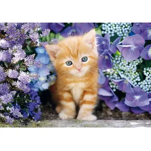 Clementoni Ginger Cat - 500 pièces (500 pièces) pas cher
