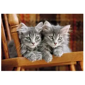 Clementoni Kittens - 500 pièces (500 pièces) pas cher