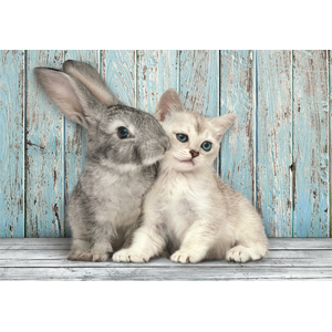 Clementoni Cat & Bunny (500 pièces) pas cher