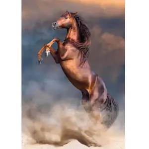 Clementoni PZL 500 HQC WILD RED STALLION =2024=
