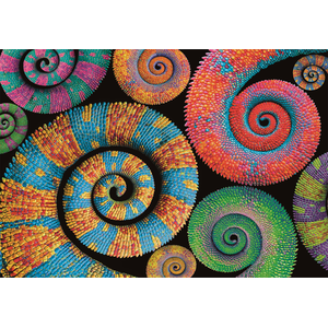 Clementoni - Puzzel - 500 Stukjes - Color Boom - Puzzel voor kinderen en volwassenen pas cher