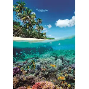 Clementoni PZL 1000 HQC SUMMER PARADISE 2025-COMPACT pas cher