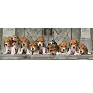 Puzzle panoramique - CLEMENTONI - Beagles - 1000 pièces - Animaux - Adulte pas cher