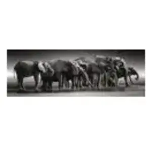 Puzzle 1000 pièces panoramique - CLEMENTONI - Troupeau de géants - Animaux - Adulte - Mixte pas cher