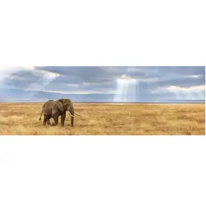 Puzzle panoramique Clementoni - Perdu, 1000 pièces pas cher