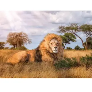 Puzzle Clementoni - Le Roi, 1000 pièces pas cher
