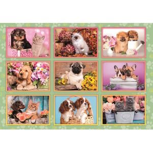 Clementoni PZL 180 SUPER NOLI PUPPIES COLLAGE =2024= pas cher