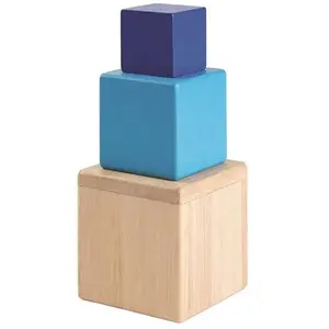 Cubes en Bois sensoriels 'Volumes imbriqués' PlanToys - Jouet en PT537... pas cher