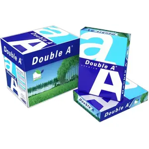 Papier Double A A4 Blanc 2500 Feuilles DAP90000 pas cher