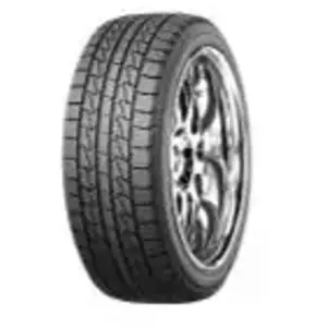 Roadstone Winguard ICE SUV