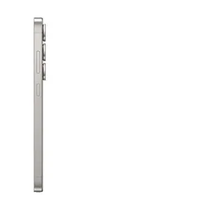 Samsung Samsung Galaxy S25 Ultra 256 Go Gris titane pas cher