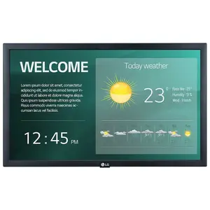 LG ELECTRONICS Ecran LG 22SM3G - LCD LED 22 po - 1920 x 1080 - HDMI - IPS pas cher