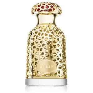 Perfume Emeer Eau de Parfum 100ml Unisex pas cher