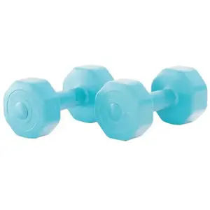 Gymstick Active Vinyl Dumbells - Met Online Trainingsvideo's - 2 x 1 kg pas cher