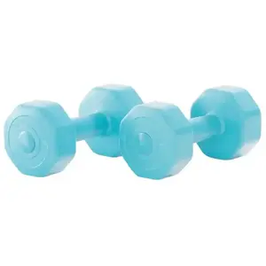 Gymstick Active Vinyl Dumbells - Met Online Trainingsvideo's - 2 x 3 kg pas cher