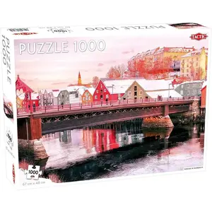 Tactic Puzzel Around the World Nothern Stars: Nidelva in Trondheim - 1000 stukjes