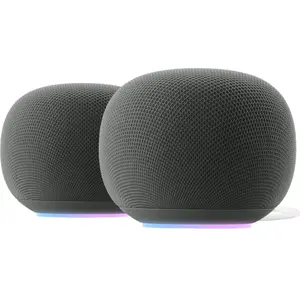 Google Home Speaker Gris Lot de 2 pas cher