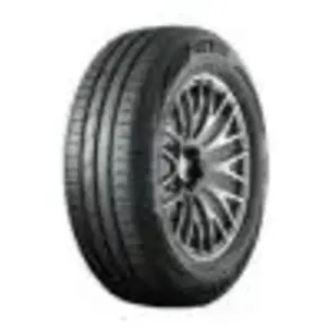 Gt radial FE2