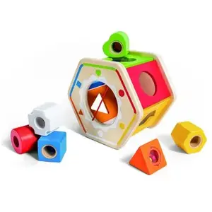 Hape Houten Wonder Vorm Sorteerder. pas cher