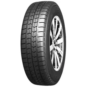 Nexen Winguard WT1 pas cher