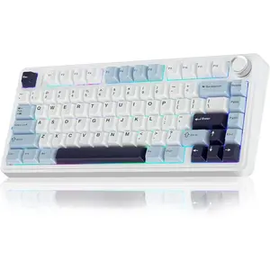 EPOMAKER x AULA F75 - Licht Blauw - Mechanisch Draadloos Toetsenbord - RGB - 75% - Qwerty - Gaming Keyboard - leobog reaper switch