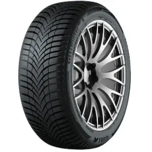 Giti Pneu Giti Winter W2 ( 255/40 R20 101W XL )