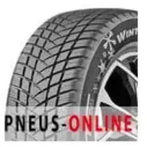 Gt radial WinterPro 2 EVO pas cher