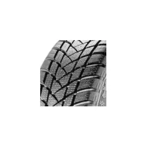 Gt radial WinterPro 2 pas cher