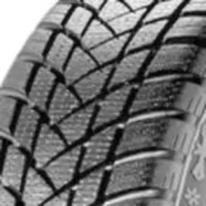 Gt radial WinterPro 2 pas cher