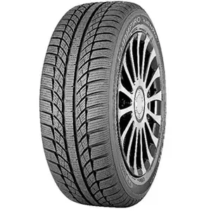Gt radial Champiro WinterPro HP pas cher