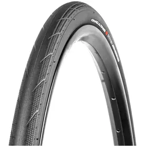 Chaoyang Pneu De Route Woven 120tpi Dinoskin Silica Maxx Tubeless 700 X 30 pas cher