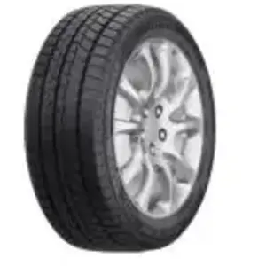 Austone AUSTONE SP901 235/55 R17 103V pas cher