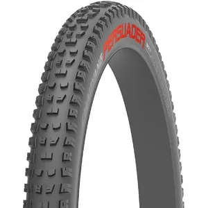 CHAOYANG Tyre 29x2,4 PERSUADER WET 60TPI Tubeless Ready BtoB pas cher