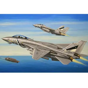 Hobby Boss Maquette Avion : F-14d Super Tomcat-Hobby Boss