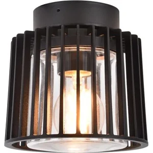 LUTEC - Shyne plafondlamp voor buiten - E27 - Zwart pas cher