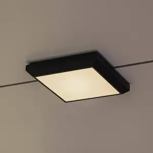 LUTEC Helena - Middelgrote wand of plafondlamp voor buiten - Donkergri... pas cher