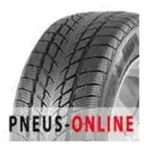 Davanti Pneu Davanti Wintoura ( 165/70 R14 81T ) pas cher