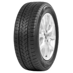 Davanti Wintoura SUV 235/60 R17 106H pas cher