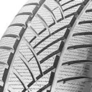 Leao Pneu Leao Winter Defender HP ( 205/70 R15 96T ) pas cher