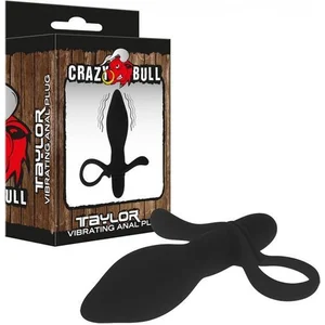 Pretty Love Plug Anal Vibrant Taylor pas cher