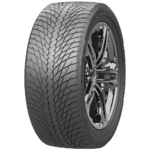 Greentrac Pneu Greentrac Winter Master D1 ( 225/65 R17 106H ) pas cher