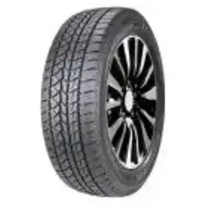 Double star Winterking DW02 pas cher