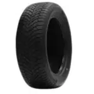 245/45 Zr18 Tl 100y Dc Dasp-plus Xl 24545ZR18TDASPXL Double Coin pas cher